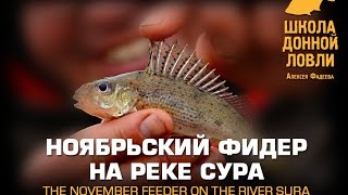 Ноябрьский фидер на реке Сура