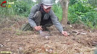SIÊU PHẨM gù hực hực ...Gù như thúc. Clips 611. Lê Việt KT