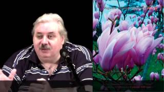 О генераторе "Источник Жизни" Николая Левашова...