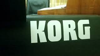 KORG PA 600. Видеообзор синтезатора. Кумпарсита(танго) на синтезаторе!