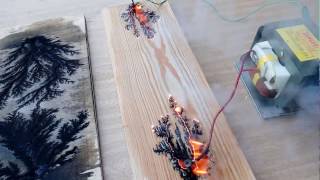 УЗОРЫ на дереве,  Lichtenberg paintings on wood,