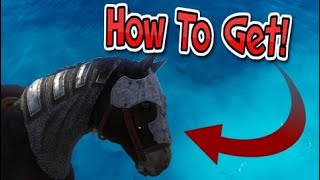 How To Get Horse Armor  | Kingdom Come Deliverance