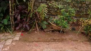 CHÁCARA A VENDA NA PONTA DE BAIXO SÃO JOSÉ