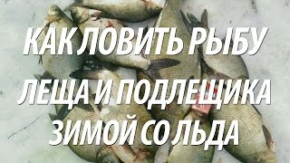 ЗИМНЯЯ СНАСТЬ НА ЛЕЩА И ПОДЛЕЩИКА СО ЛЬДА. СЕКРЕТЫ ЗИМНЕЙ РЫБАЛКИ НА РЫБУ ЛЕЩ