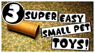 3 DIY | SUPER EASY SMALL ANIMAL TOYS! | Cgpets101