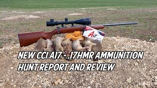 New CCI A17 - .17 HMR Ammunition Hunt Report and Review