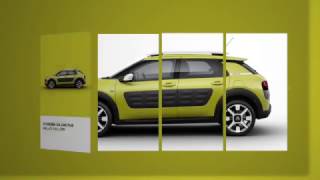 C4 Cactus: Kies uit de 21 kleurcombinaties - Citroën Van Beek