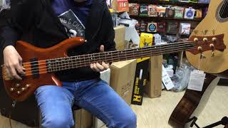 Cort A5, Schecter Diamond Stiletto Studio, Ibanez SR 745.