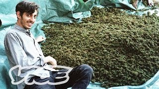 Swaziland: Gold Mine of Marijuana (Part 1/2)