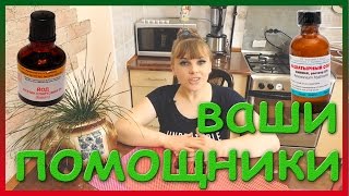 Йод и нашатырный спирт как удобрение для комнатных растений и огорода. Нашатырь и йод в быту.