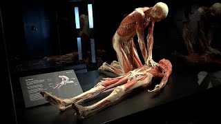 Von Hagens "Körperwelten" jetzt auch in London zu sehen