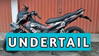 Review Undertail | Tail Tidy | SONIC 150R