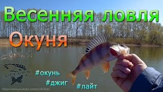 Ловля окуня весной. Лайтовый джиг.