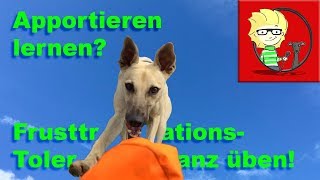 (FOLGE 25) Apportieren lernen? Frustrationstoleranz üben!