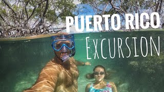 Puerto Rico Excursion / Parguera Bio Luminescent Bay