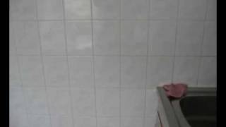 Throbbing Grethel - Morning