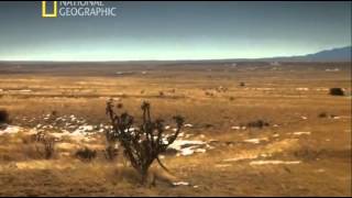 В поисках правды. НЛО / The Truth Behind. UFOs (2011) National Geographic