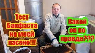 ???2020 г  ПРОДОЛЖЕНИЕ ПРОЕКТА ПО ТЕСТУ БАКФАСТА НА МОЕЙ ПАСЕКЕ