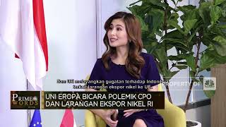 Dubes Uni Eropa Soal CPO RI: Itu Bukan Sumber Energi Terbarukan!