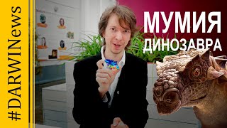 Исследованы мозг и внутренние органы динозавра. Ярослав Попов 