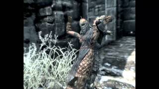 Skyrim project Uniform stealing