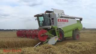 Żniwa 2017 z Pompą - Jęczmienia ozimego - Claas Lexion 450