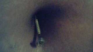 Wanna Screw My Bellybutton?