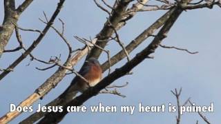 Does Jesus Care