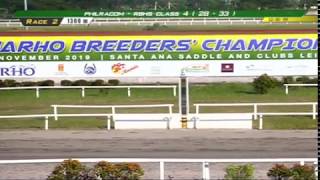 LILIPUT - PRCI Race 2 - December 8, 2019 - Bayang Karerista