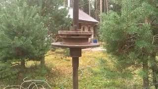 Оборудование и приспособы для забивки скважины иглы - абиссинского колодца бабкой