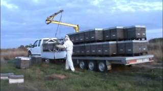 Кран для погрузки и разгрузки пчелиных ульев на прицеп!