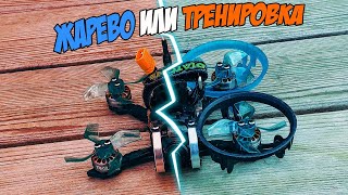 И поучиться и вжарить? Не вопрос. [Diatone Roma F1]