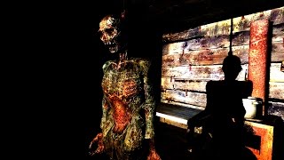 Сталкер. Упавшая звезда. Честь наемника-зачистка саркофага или новый монолит #14