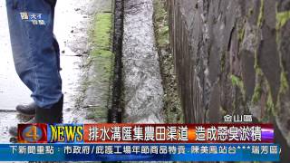 1020115觀天下新聞05 金山區排水溝匯集農田渠道 造成惡臭淤積