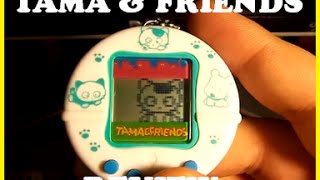 Tama & Friends Virtual Pet