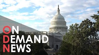 Democrats Will HOLD the Senate After Midterm Elections