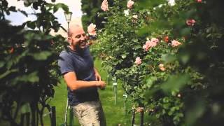 Fusion Maribor   happy 1video 2014