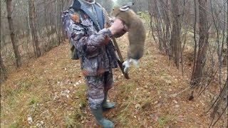 hare hunting.  Эпизод про охоту на зайца с гончими.