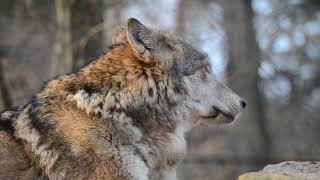 ZOO Košice
