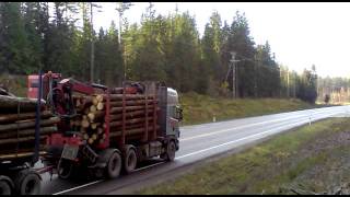 Scania 164 Timber truck