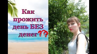 Как прожить день без денег?! (Юлия Жукова)