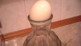 Как засунуть яйцо в бутылку/How to put an egg into a bottle