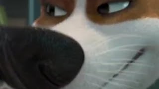 «Tанец 2020 года» feat Strelka.