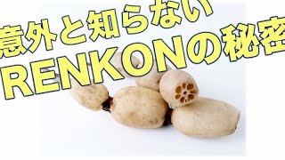意外と知らないレンコンの秘密