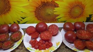 Томаты - новинки 2022 года. Томат Авентюняй - крупный, мясистый, вкусный. Дегустация сорта.