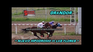 Grandor, Nuevo Hipodromo Las Flores (09-07-18)