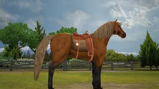 Pony Friends 2 (part 2) (Horse Game)