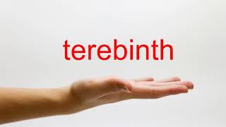 How to Pronounce terebinth - American English