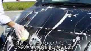 〔施工手順：動画版〕 洗車-下地処理-コーティング-メンテナンス