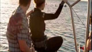 Spring Break Shark Attack (9/9)